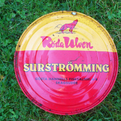 20.08.2016 Viktori juures (Taasiseseisvumispäev) hullu kala söömas